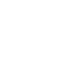 Apple Store Icon