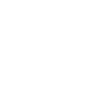 Play Store Icon