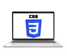 CSS_logo